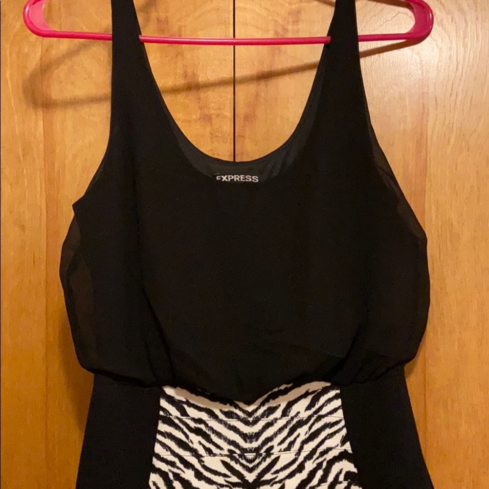 Express Dress - Picture 3 of 6